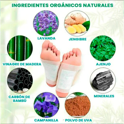 Parche Kinoki Caja X 5 Pares Rc